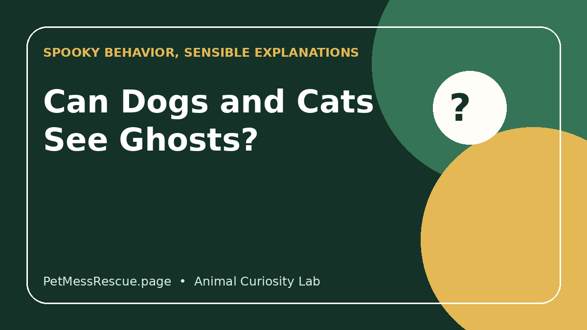 Can Dogs and Cats See Ghosts? The Science Behind Spooky Pet Behavior