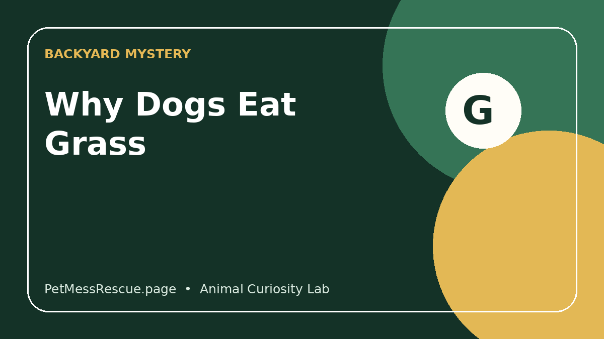 Why Do Dogs Eat Grass? Normal Grazing vs. Red Flags