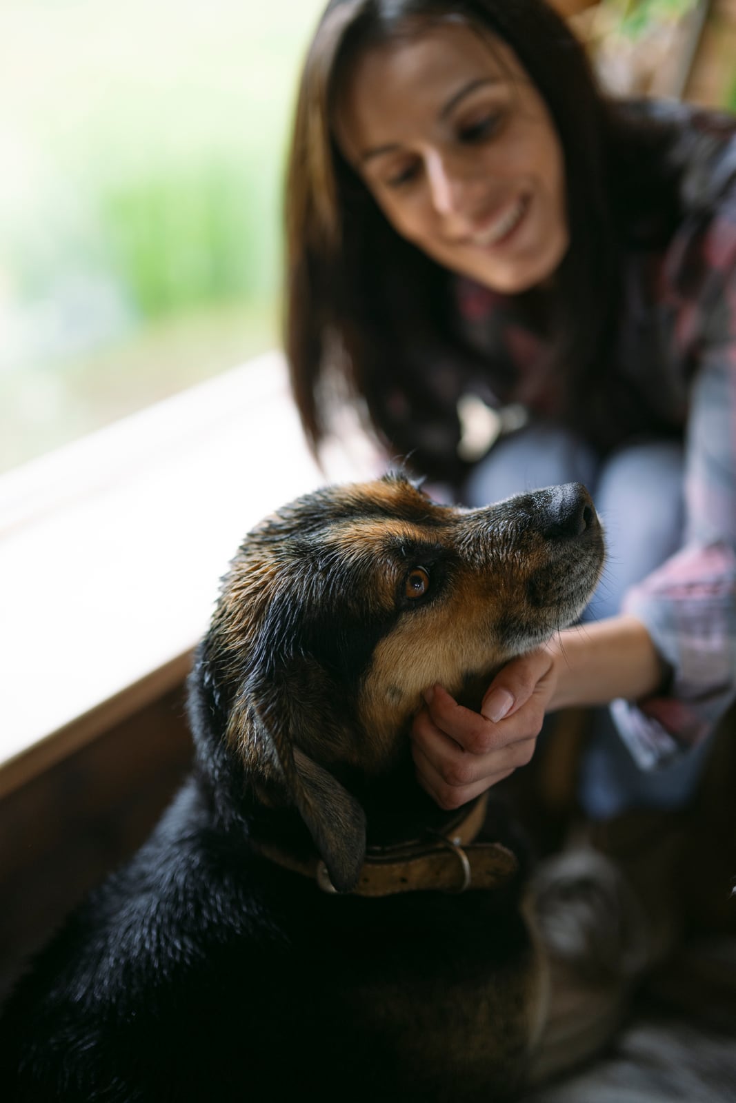 So you think you're ready to own a dog?
