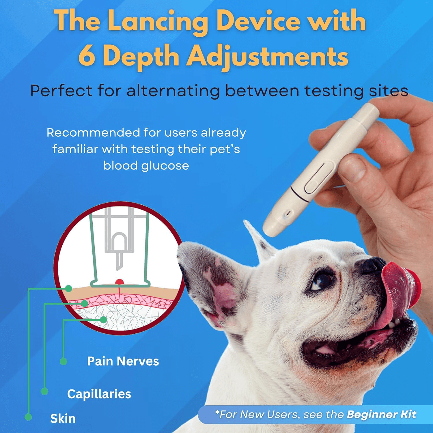 Adjustable PetTest lancing device shown near a dog's ear