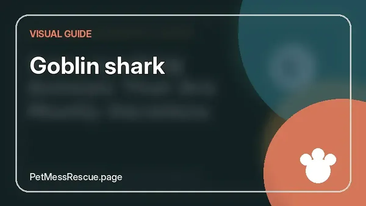 Contextual photograph of Goblin shark