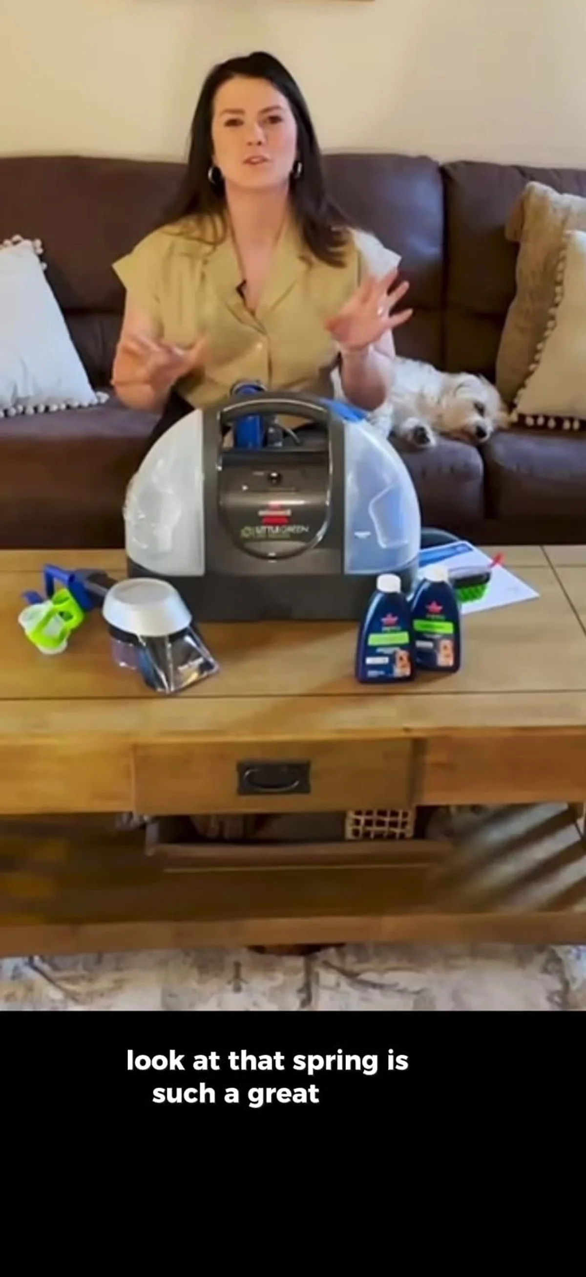 Contextual photograph of BISSELL Little Green Pet Deluxe: Original Product Video & Buying Guide